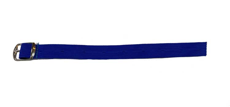 blue elastic strap.jpg