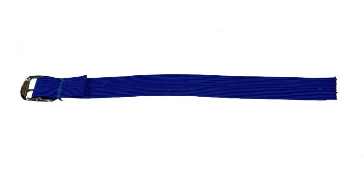 blue elastic strap flip.jpg